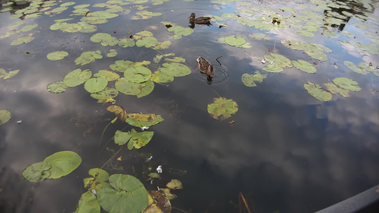 toma de un dron de arriba hacia abajo del lago en un día nublado