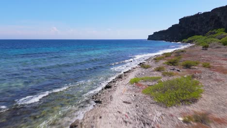 fast aerial dolly along a rocky shoreline with clear blue waters gently hitting the coast, framed by lush greenery and cliffs in the distance