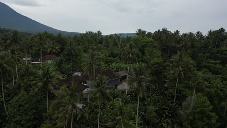Coconut-Trees-close-by-to-Mount-Agung-volcano-in-Bali,-Indonesia