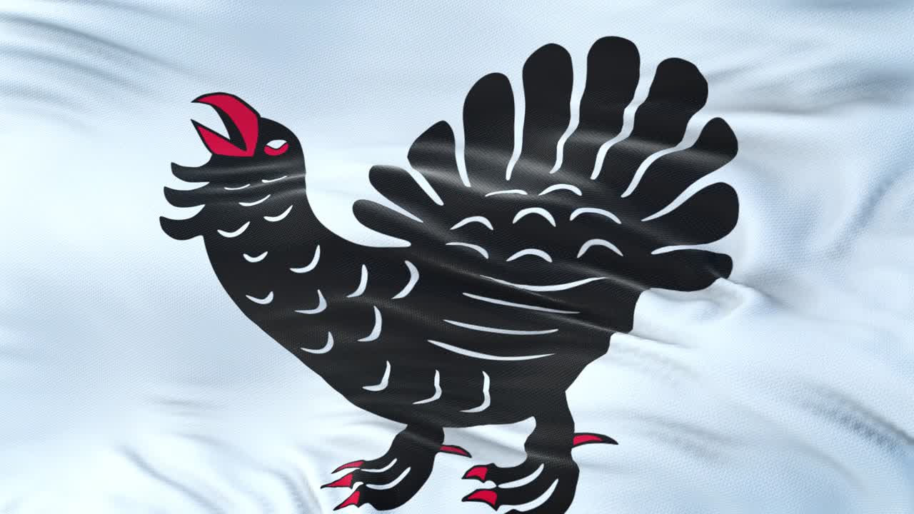 finlandia central (región de finlandia) bandera ondeando en el viento con textura de tela muy detallada. bucle sin costuras