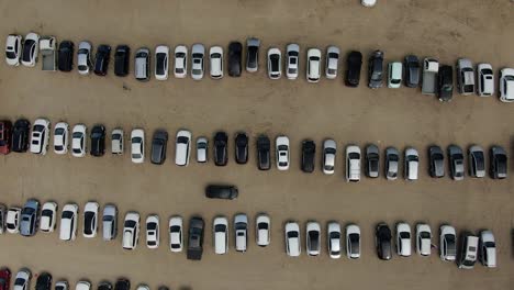 the parking lot of the playground on the festival day