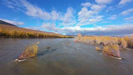 experience the vibrant colors of autumn as a drone glides over serene rivers and golden foliage. this spectacle showcases nature’s beauty in a unique perspective under a clear blue sky.