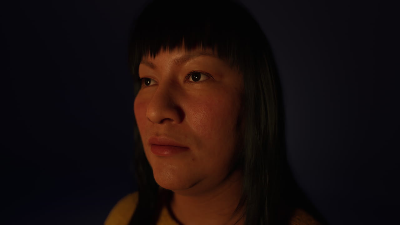 어 ⁇  속의 성인 멕시코 여성 초상화