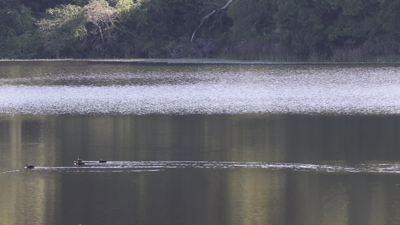 rowers는 조용한 반사 호수를 가로질러 미끄러집니다
