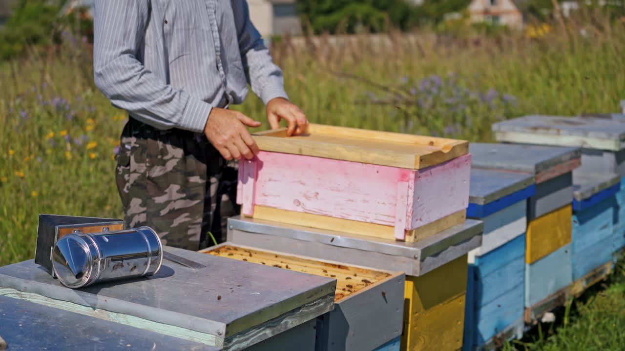 Beekeeping process. Apiarist working near wooden beehives in the countryside. Hives on the apiary in summer. Close-up.