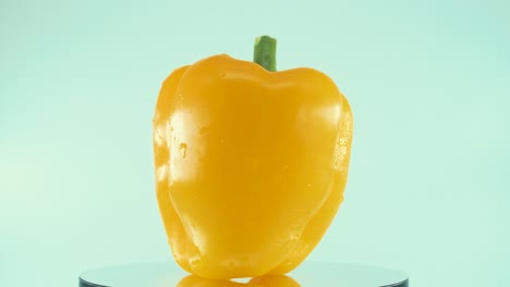 un primer plano de un pimiento amarillo dulce en un soporte giratorio reflectante 360, cámara lenta, 4k