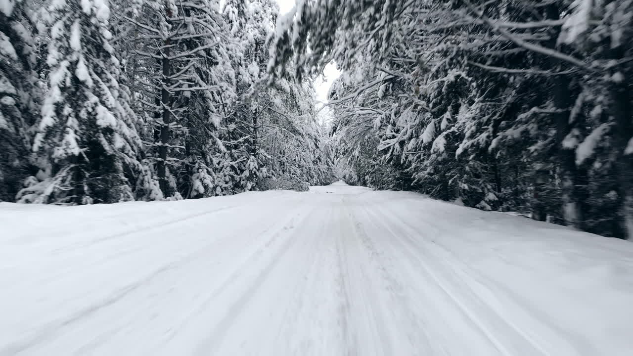 4k. 북쪽의 겨울 숲 위로 비행하고, 공중 평면도를 봅니다.