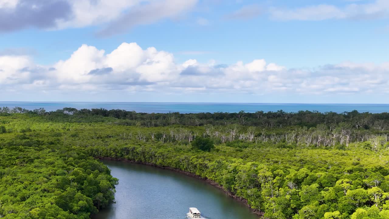 Drone captures boat moving along winding river in vibrant mangrove rainforest, daylight, wide shot