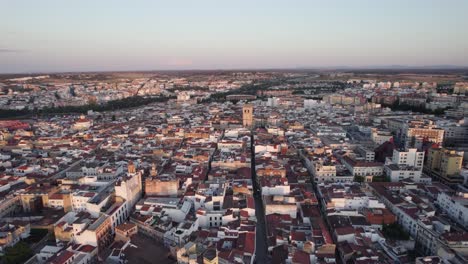 aerial overview of endless cityscape in golden hour