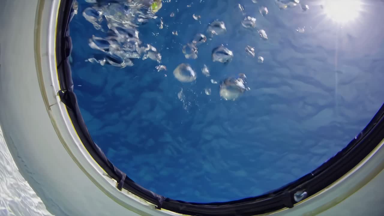 물 에서 헤엄치는 행복한 아이