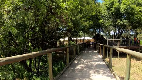 walking across a wooden walkway traveling in africa