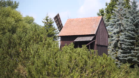 roof of an old wooden windmill above coniferous treetops,czechia