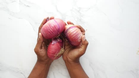 hands holding red onions