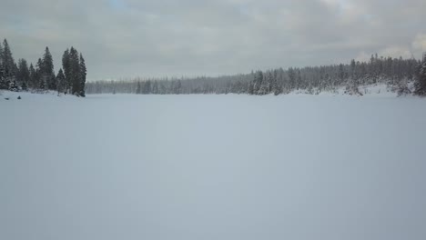 Aerial-drone-flyover-pine-tree-and-lake-covered-in-thick-snow,-dramatic-dark-clouds