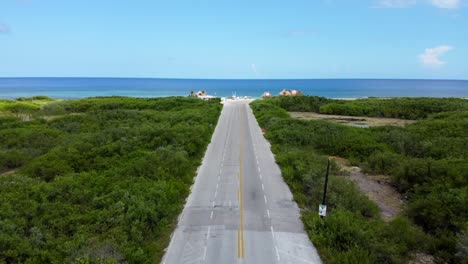 aerial view of cozumel road with sea in the background