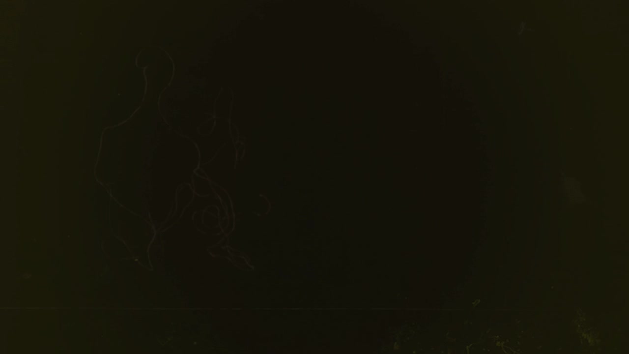 Vintage Film Texture Overlay with Scratches and Dust
