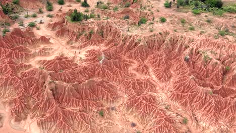 close-up aerial view of tatacoa desert's stunning red formations and sparse vegetation, illuminated by warm sunlight. captured from above, it highlights the striking natural textures.