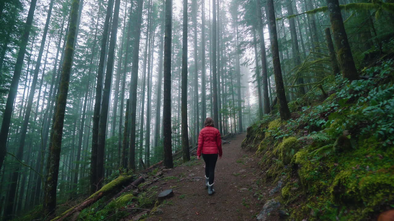 Girl hiking though misty alpine forest trail in Washington State