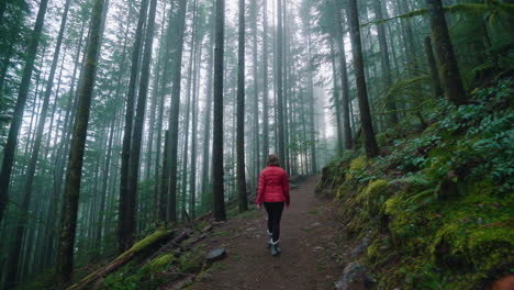 girl hiking though misty alpine forest trail in washington state