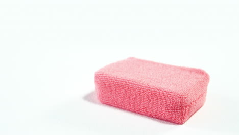 close-up of cleaning sponge