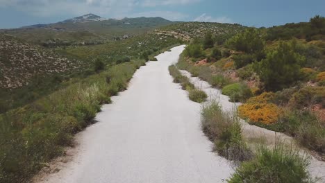 forward drone shot over a motorcyclist passing under the camera during a summer afternoon