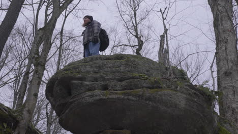 a-lone-hiker-wearing-a-stocking-cap-and-flannel-shirt-carrying-a-back-pack-stand-on-a-high-rocky-cliff-overlooking-the-forest-of-barren-winter-trees