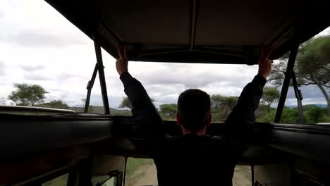 Joven-Levantando-Los-Brazos-Dentro-De-Un-Camión-Safari-En-Movimiento,-Disfrutando-De-Un-Viaje-De-Luna-De-Miel