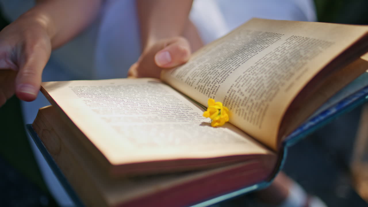 Closeup woman hands flipping pages putting flower inside book at fresh nature