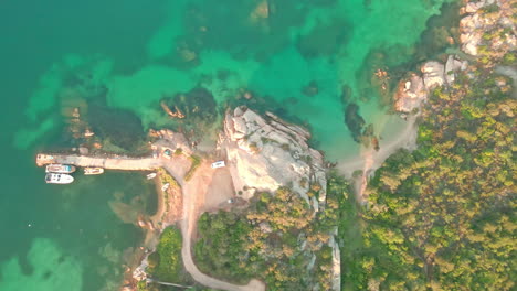 idílico paisaje marítimo con vegetación verde cerca de un hermoso mar cristalino iluminado por el sol en verano