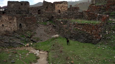 horses grazing by river flowing near historic ruins in mountains