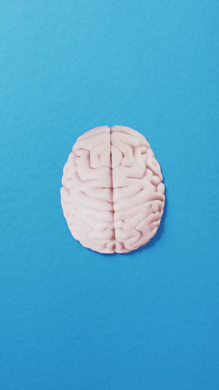 video vertical de la vista aérea del cerebro blanco en fondo azul con espacio de copia