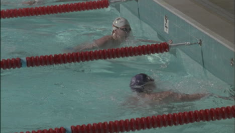 swimmers compete in breaststroke style in a swimming pool