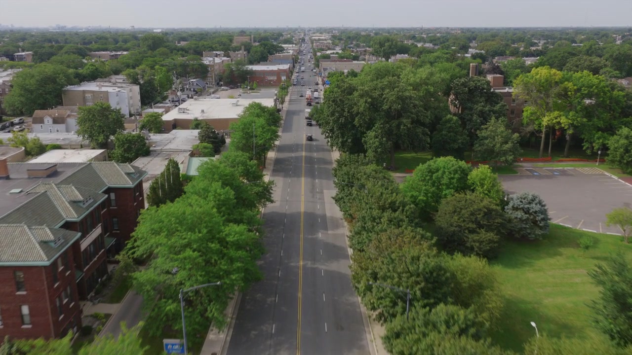 Aerial view of a straight tree-lined avenue in Chicago, crossing a bridge over a waterway with the city skyline faintly visible on the horizon.