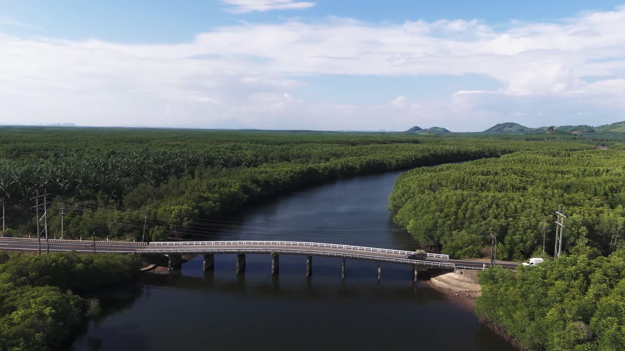 Flyover-bro ved mangroveskov
