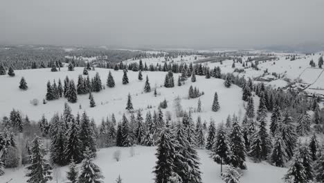 Rumänien-Atemberaubende-Winter-Drohnenansicht-4k