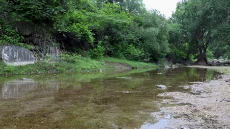 tranquil rainforest scene with calm river water and dense greenery at morning