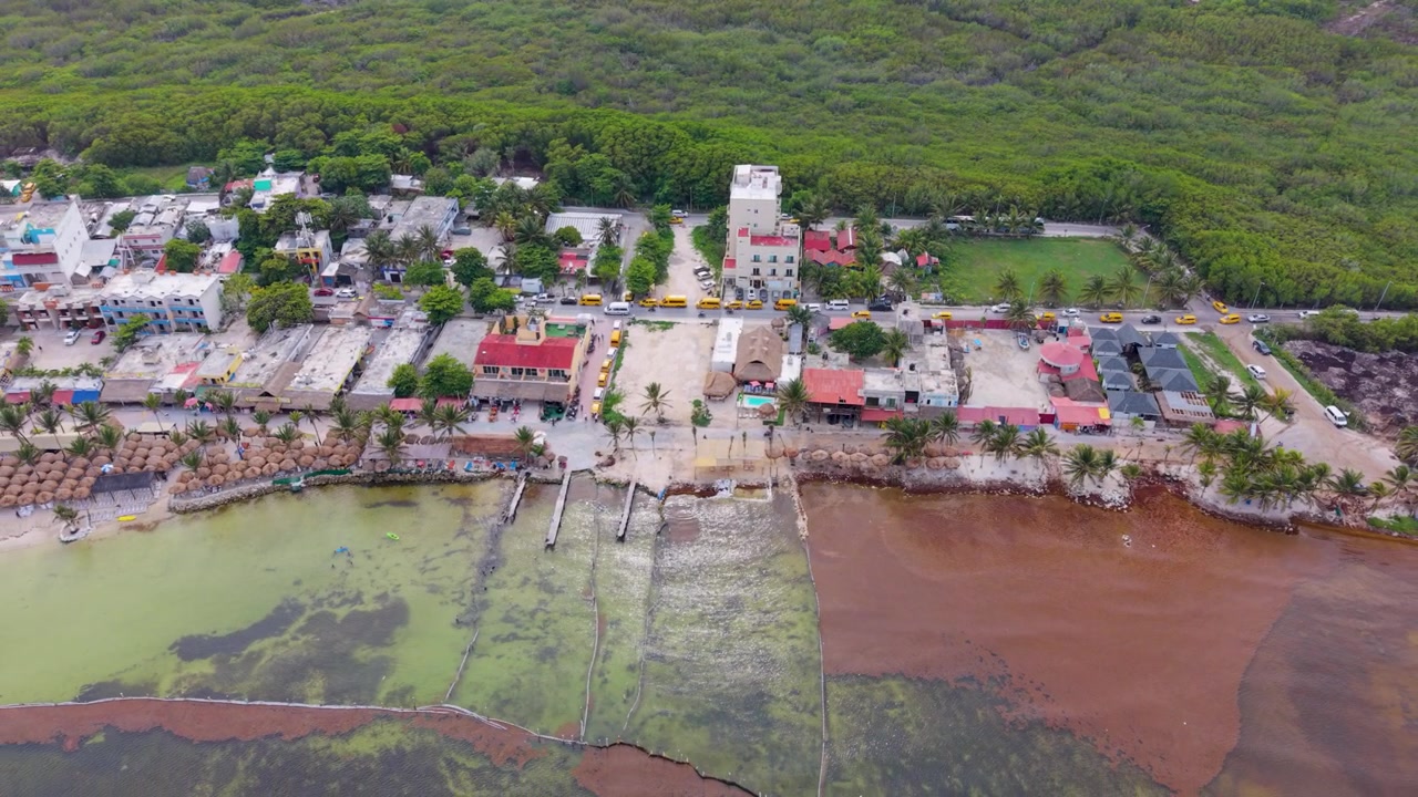 Prospettiva aerea di alghe che raggiungono la riva a Mahahual