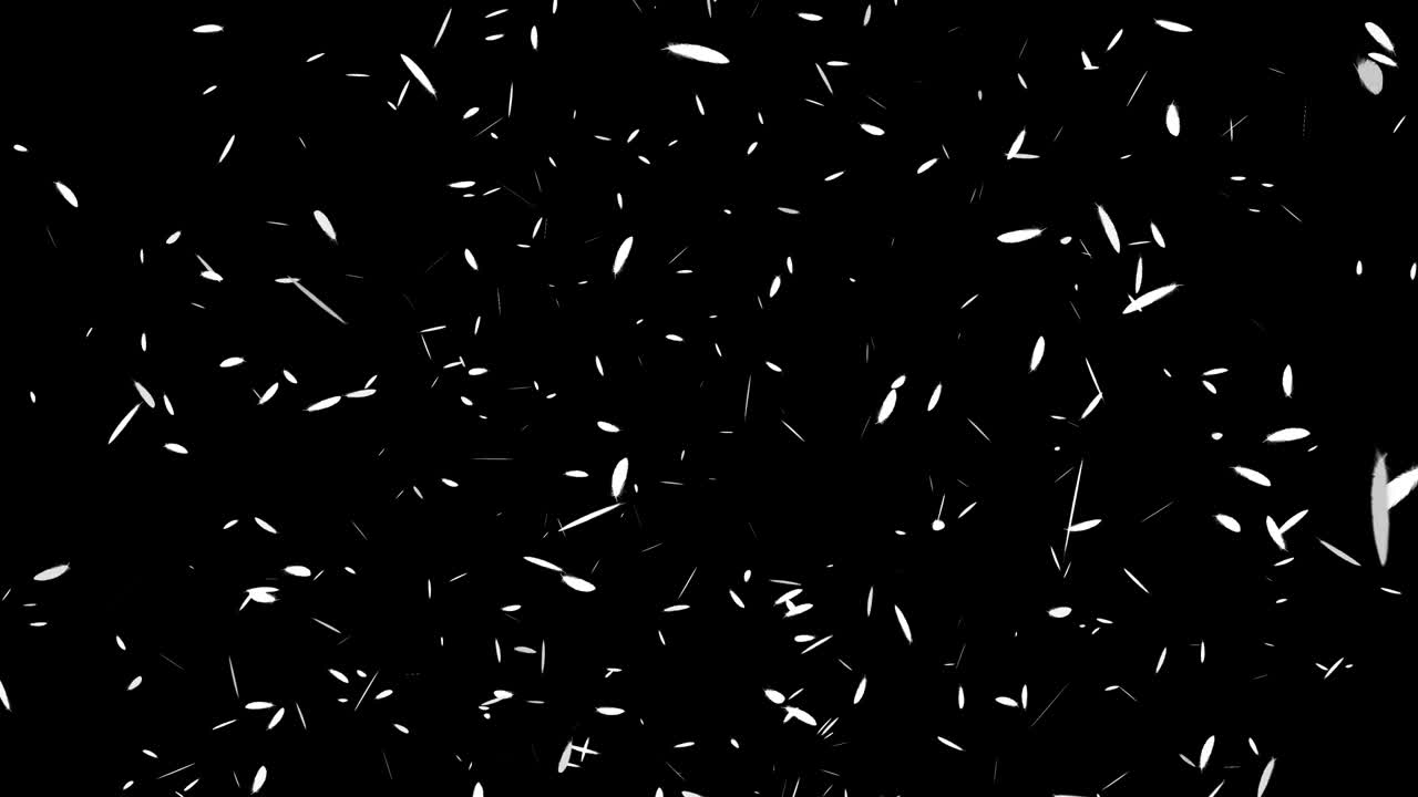 White feathers soaring particles motion graphics