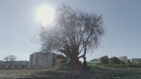 rotating wide shot of young brunette woman stretching and posing warm up next to tree