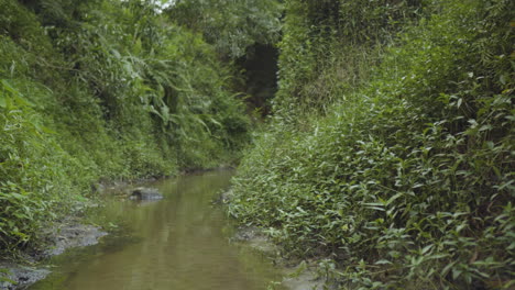 Drohne-Fliegt-über-Wildem-Dschungel-Im-Feenstrom-Mui-Ne-Vietnam