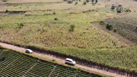 Two-Cars-Travel-on-Rural-African-Dirt-Road-in-Malawi,-Birdseye-View