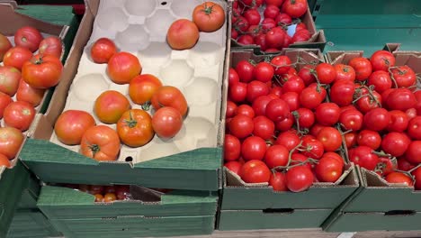 tomates frescos expuestos en cajas de madera en un mercado