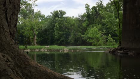 Vista-Tranquila-De-Un-Río-Entre-El-Tronco-De-Un-árbol-Y-La-Pierna-Del-Puente-En-Un-Día-Nublado