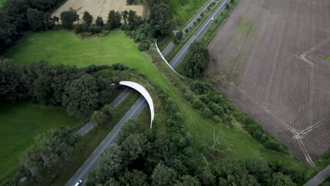 aerial of wildlife crossing forming a safe natural corridor bridge for animals to migrate between conservancy areas with cars passing beneath