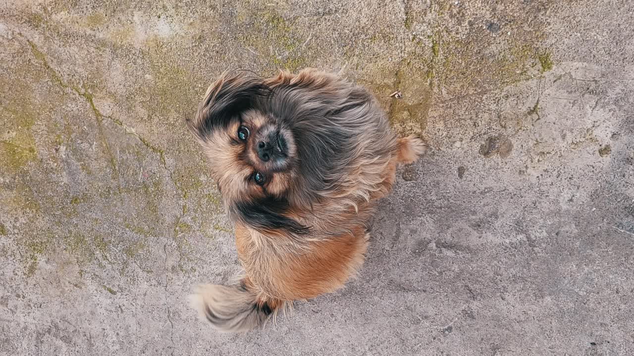 ирис так рада меня видеть