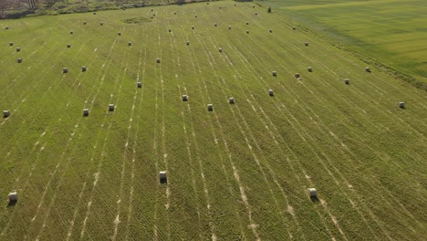 Alto-Punto-De-Vista-Aéreo-De-Haybales-Redondos-En-Un-Gran-Campo-De-Hierba-Verde-Con-Bosque-En-El-Fondo