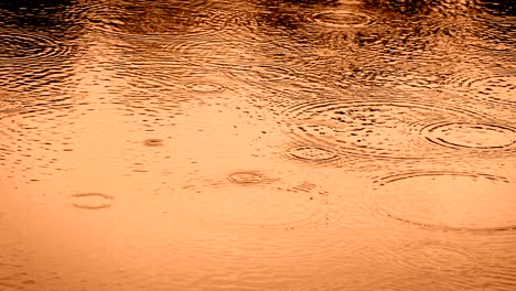 the gold yellow tone of close up rain water drop falling to the river surface in rainy season , 4k dci resolution