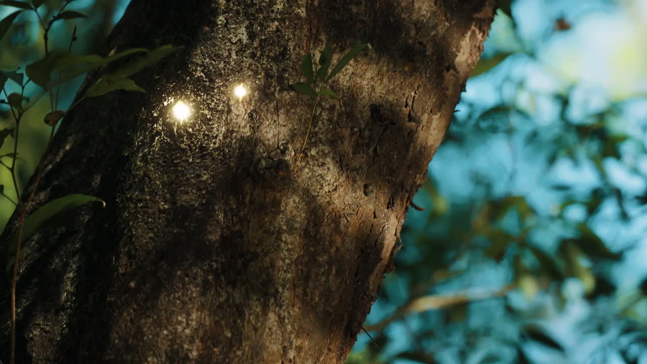 Glowing Spirits in the Forest