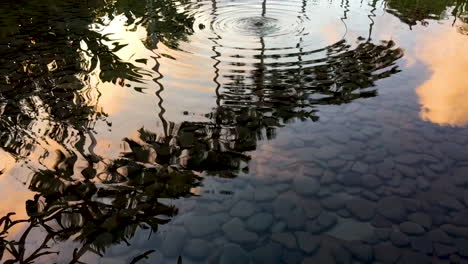 Reflejo-De-Palmeras-Y-Nubes-Al-Atardecer-En-Un-Estanque-Inmóvil-Con-Ondas-Suaves