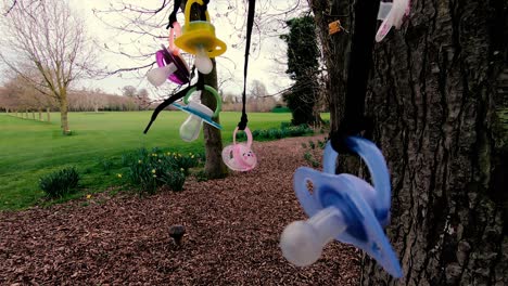 creepy mysterious baby bottle nipples hanging from a tree, moving shot